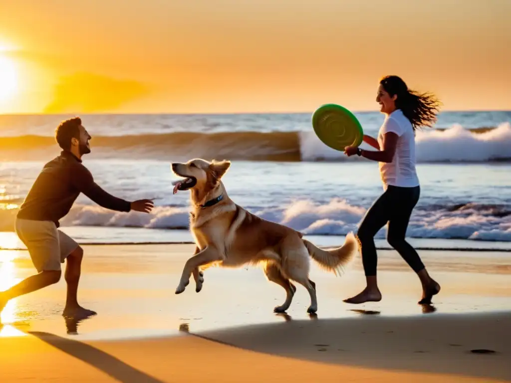 Familia disfrutando con su perro en las playas petfriendly en Uruguay, al atardecer, jugando con un frisbee