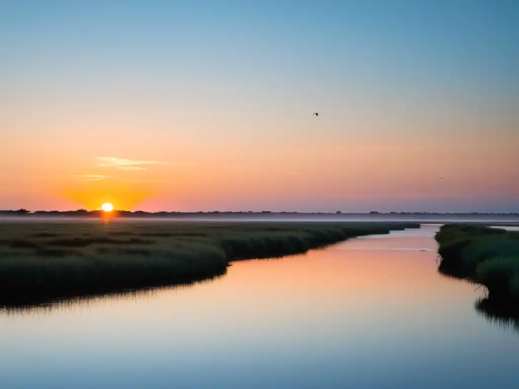 Observador en khaki disfruta de las temporadas de observación de aves en Uruguay, en un amanecer dorado en los humedales llenos de vida